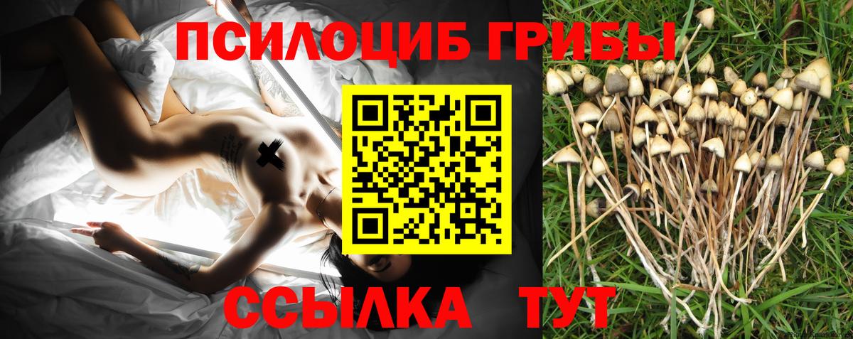 Дубна  Галлюциногенные грибы мицелий  магазин  наркотиков  Вход с VPN 